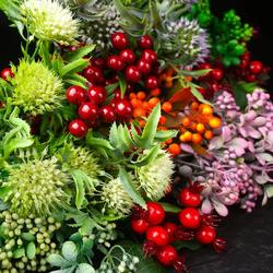 Искусственная зелень и хвоя