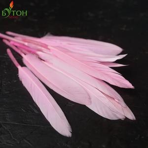 Перья. Цвет: Розовый
