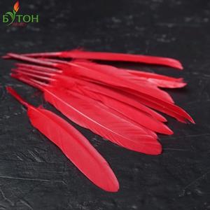 Перья. Цвет: Красный